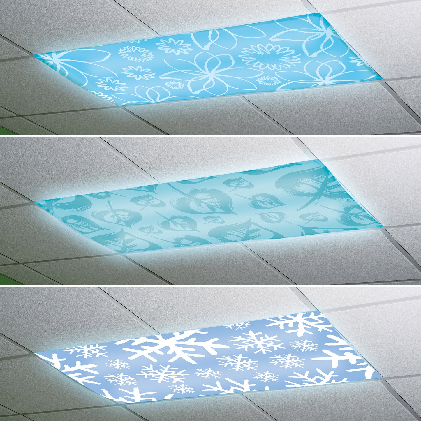 309628175.jpg