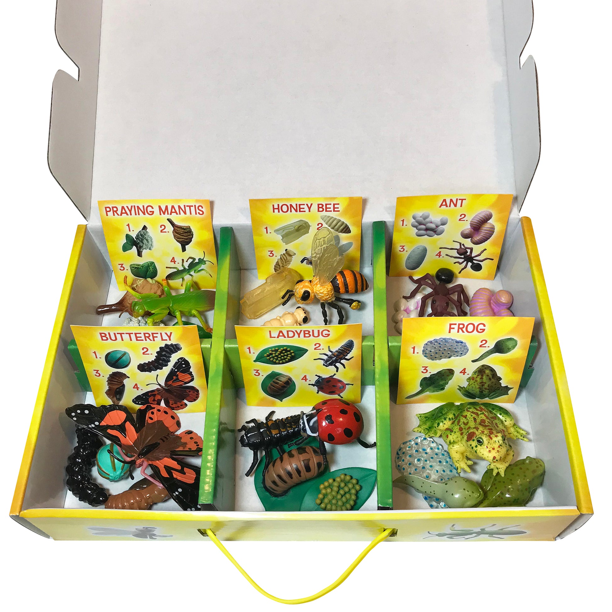 309630054.jpg
