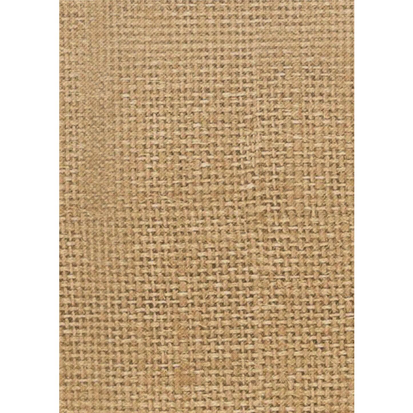 309630732.jpg