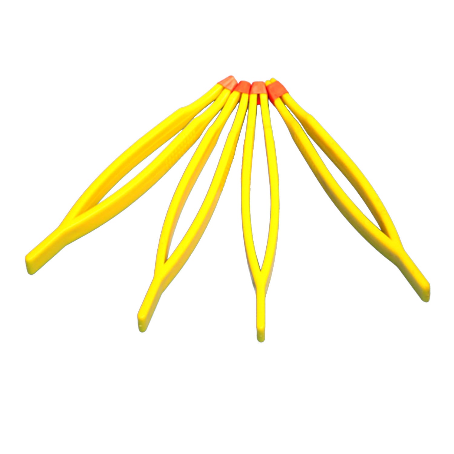 309631431.jpg