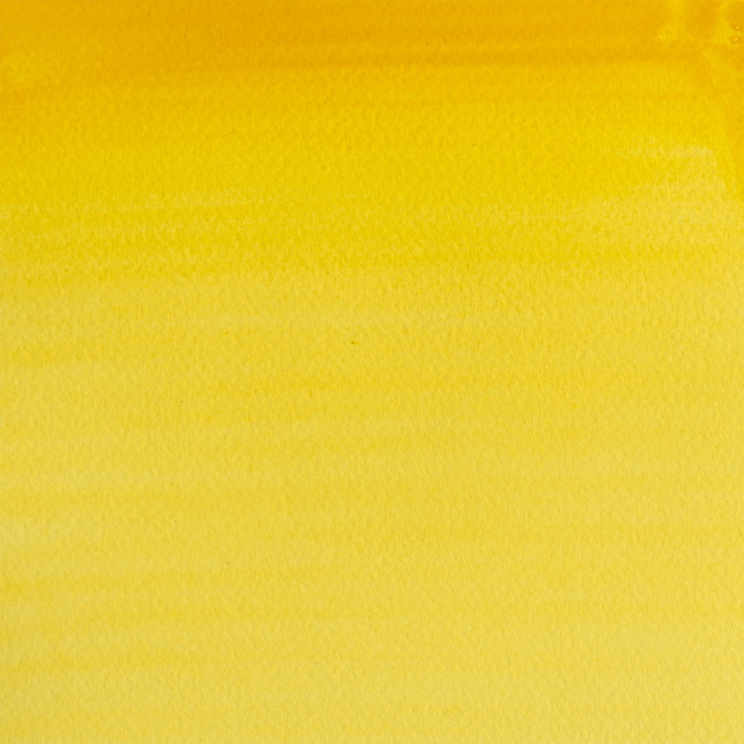 309634190.jpg