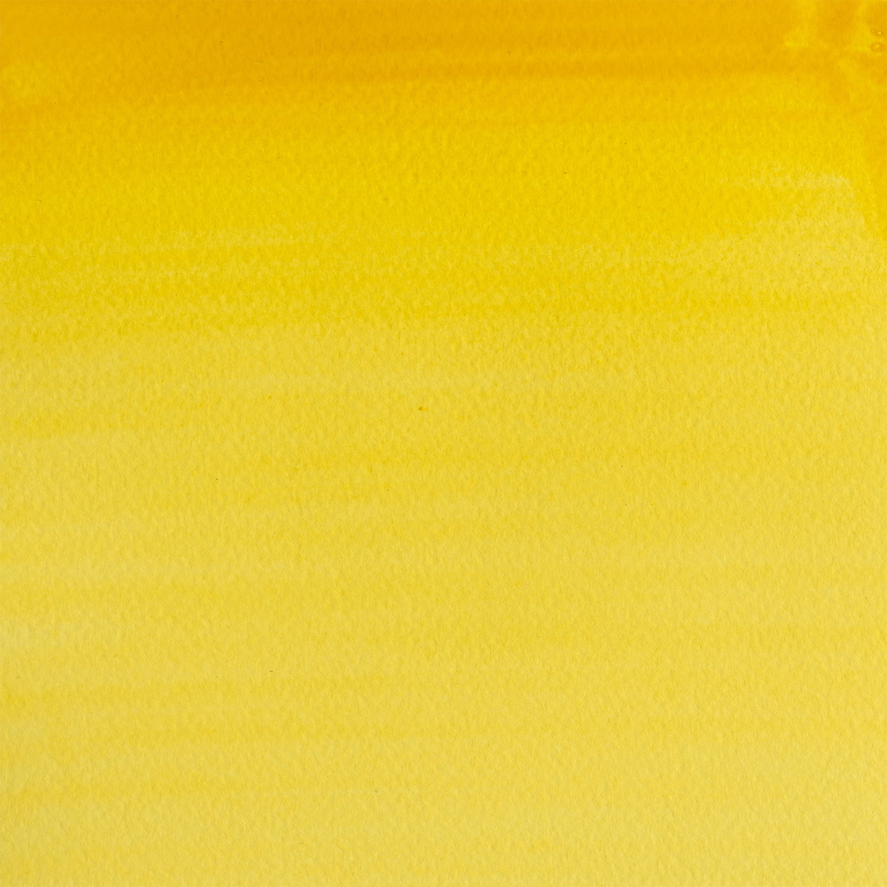 309634190.jpg