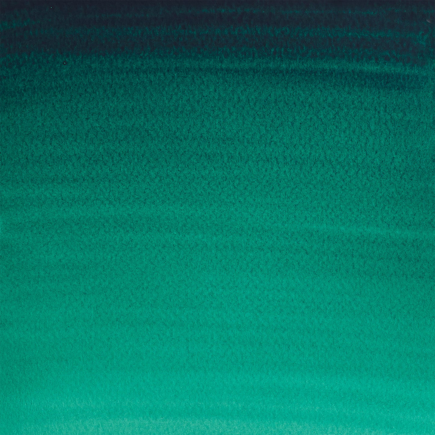 309634251.jpg