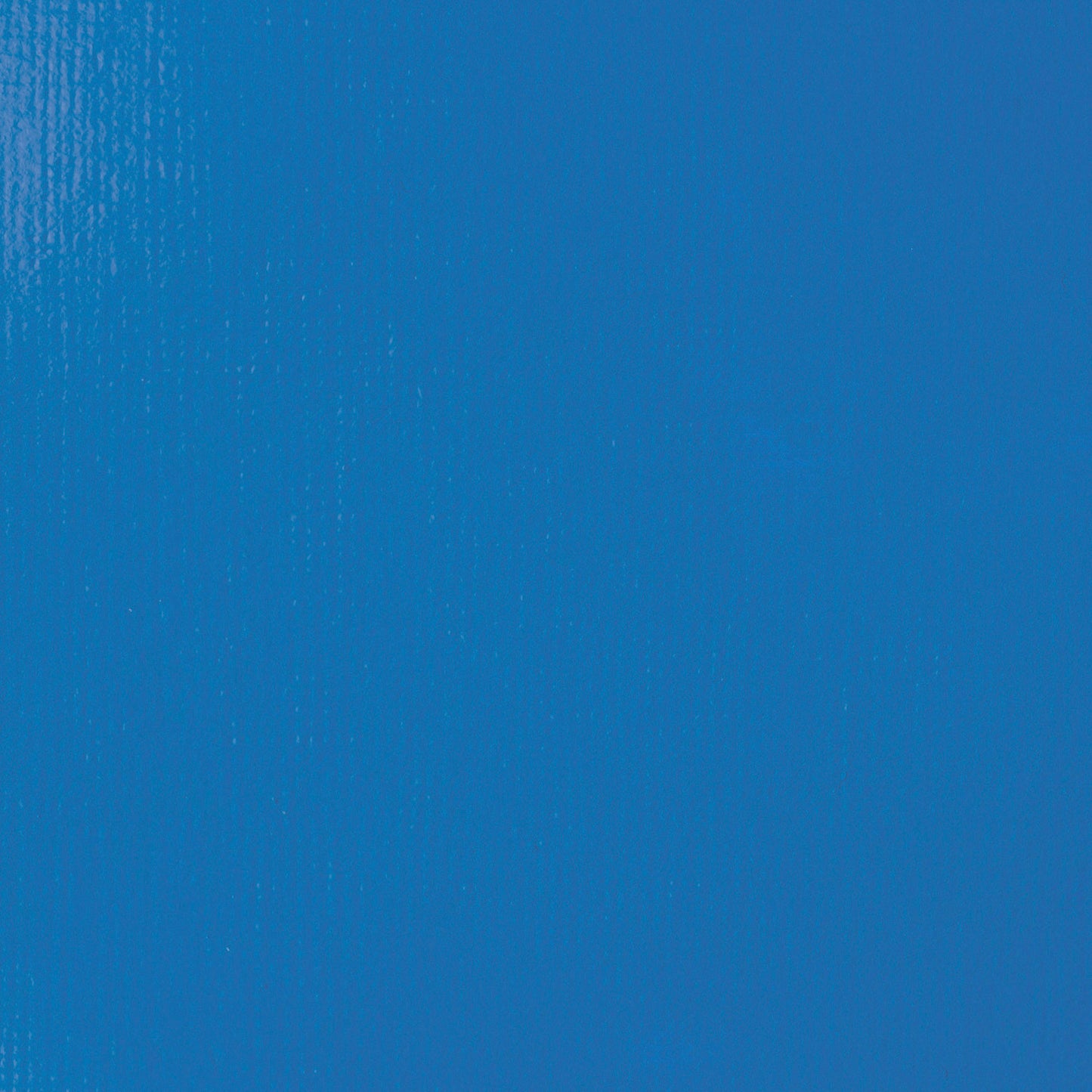 309634347.jpg