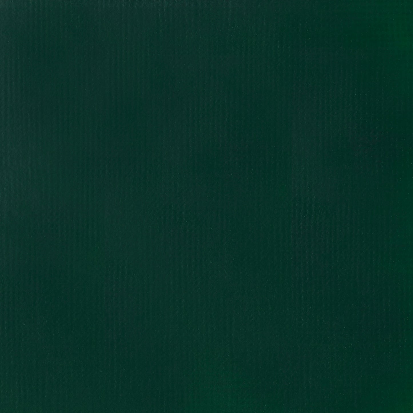 309634371.jpg