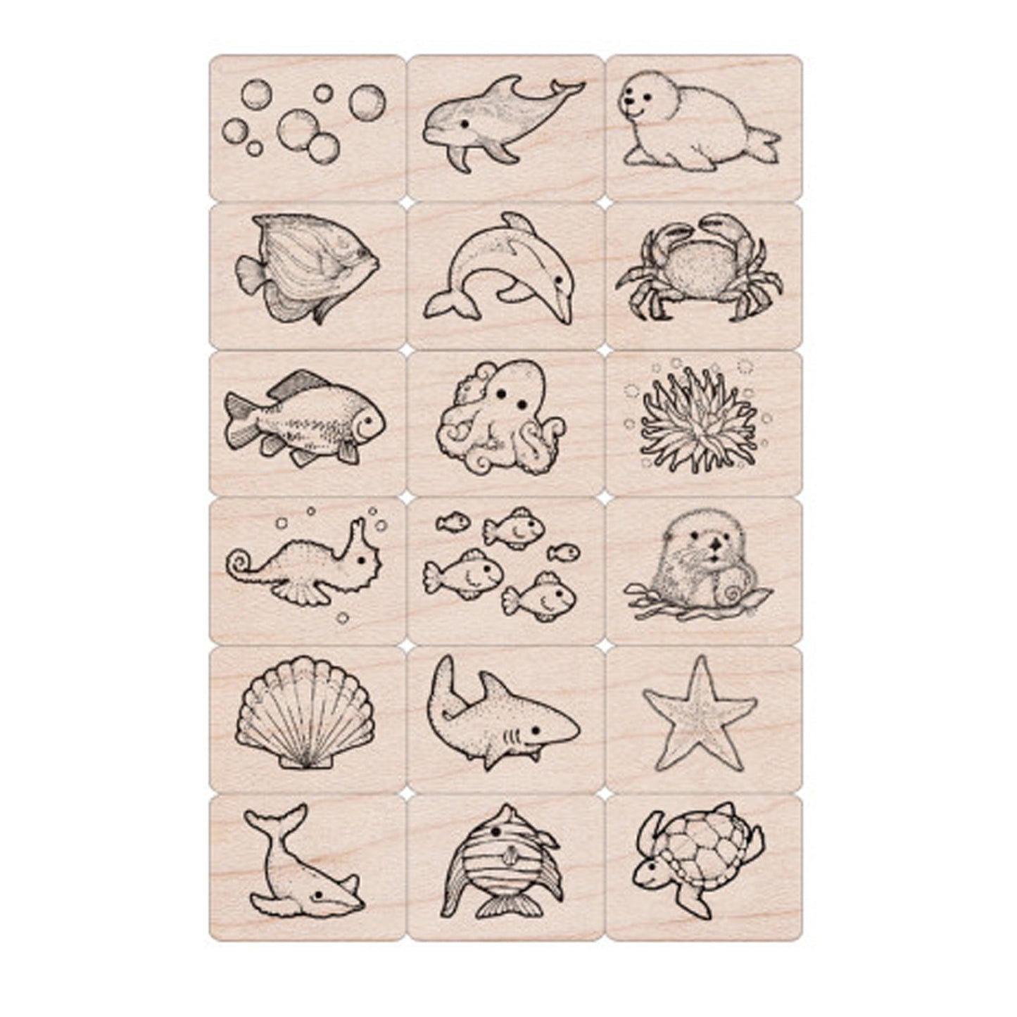 309634900.jpg