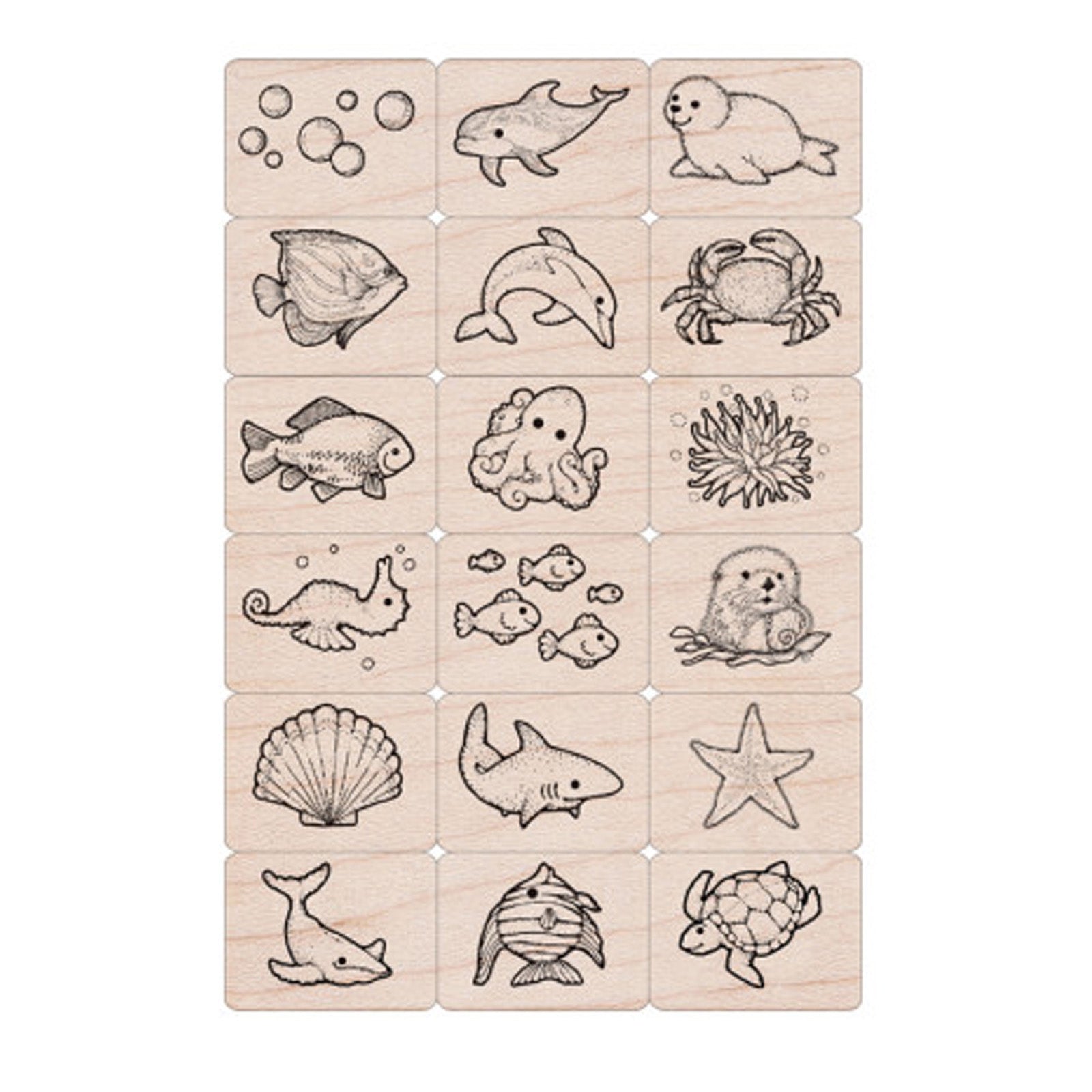 309634900.jpg