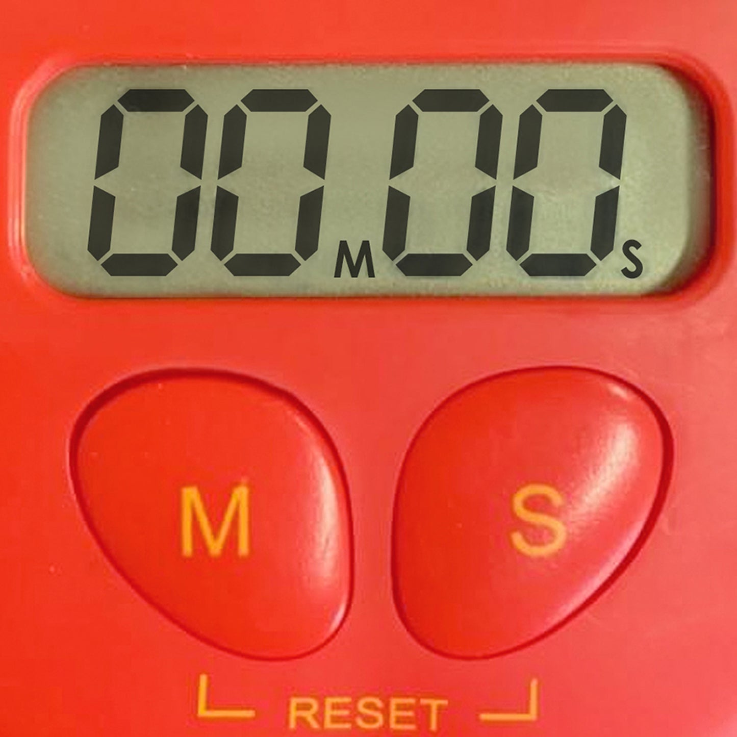309636309.jpg