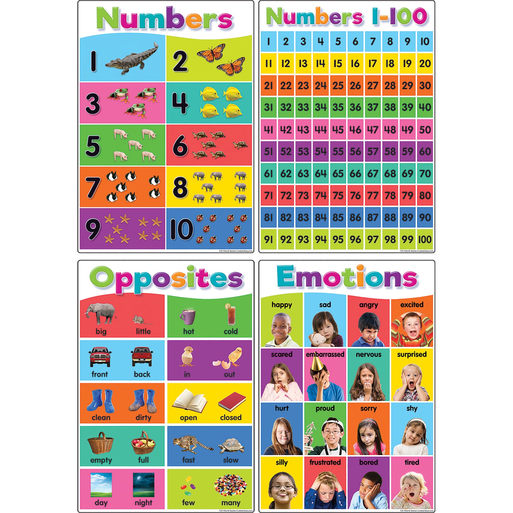 309636920.jpg