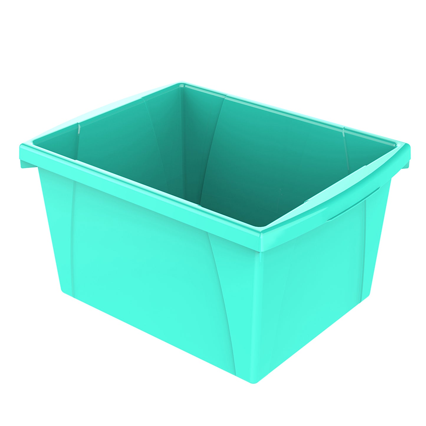 309637762.jpg