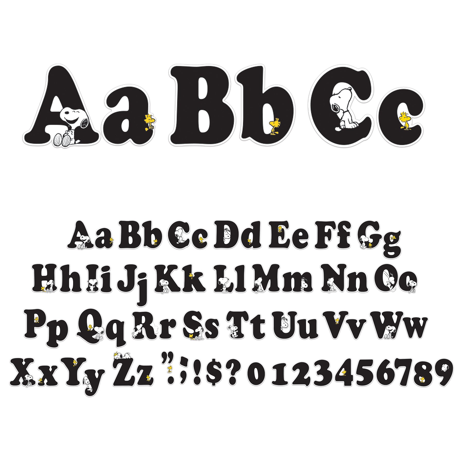 309638851.jpg