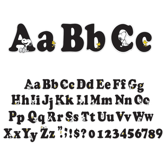 309638851.jpg