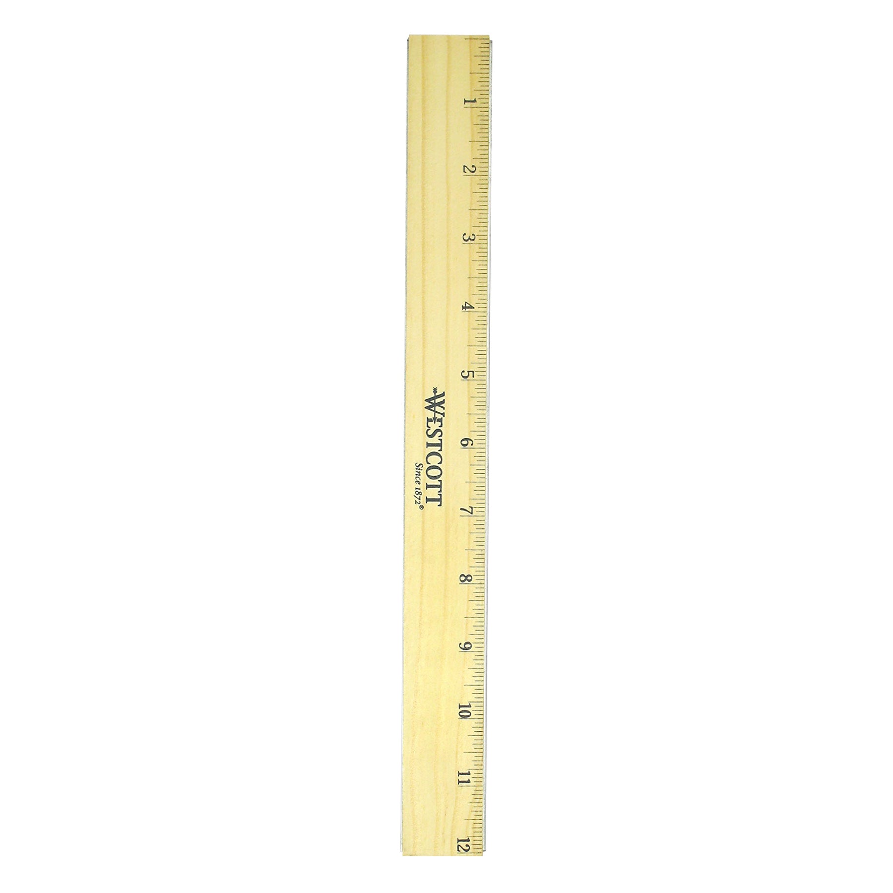 309640886.jpg