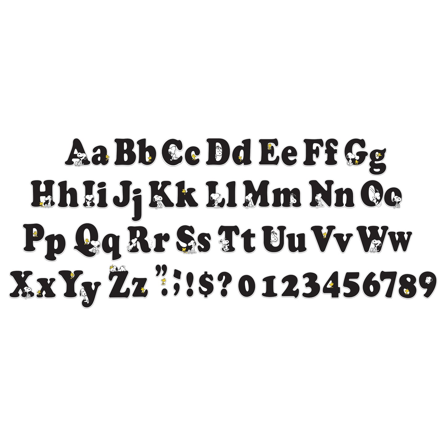 309640949.jpg