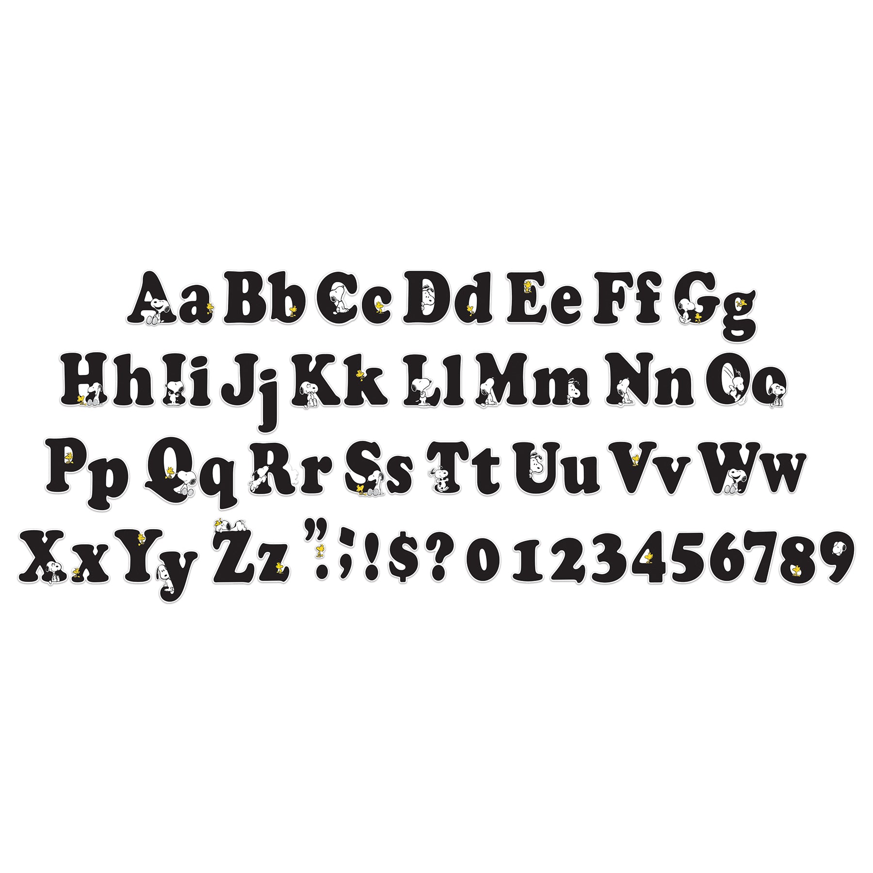 309640949.jpg