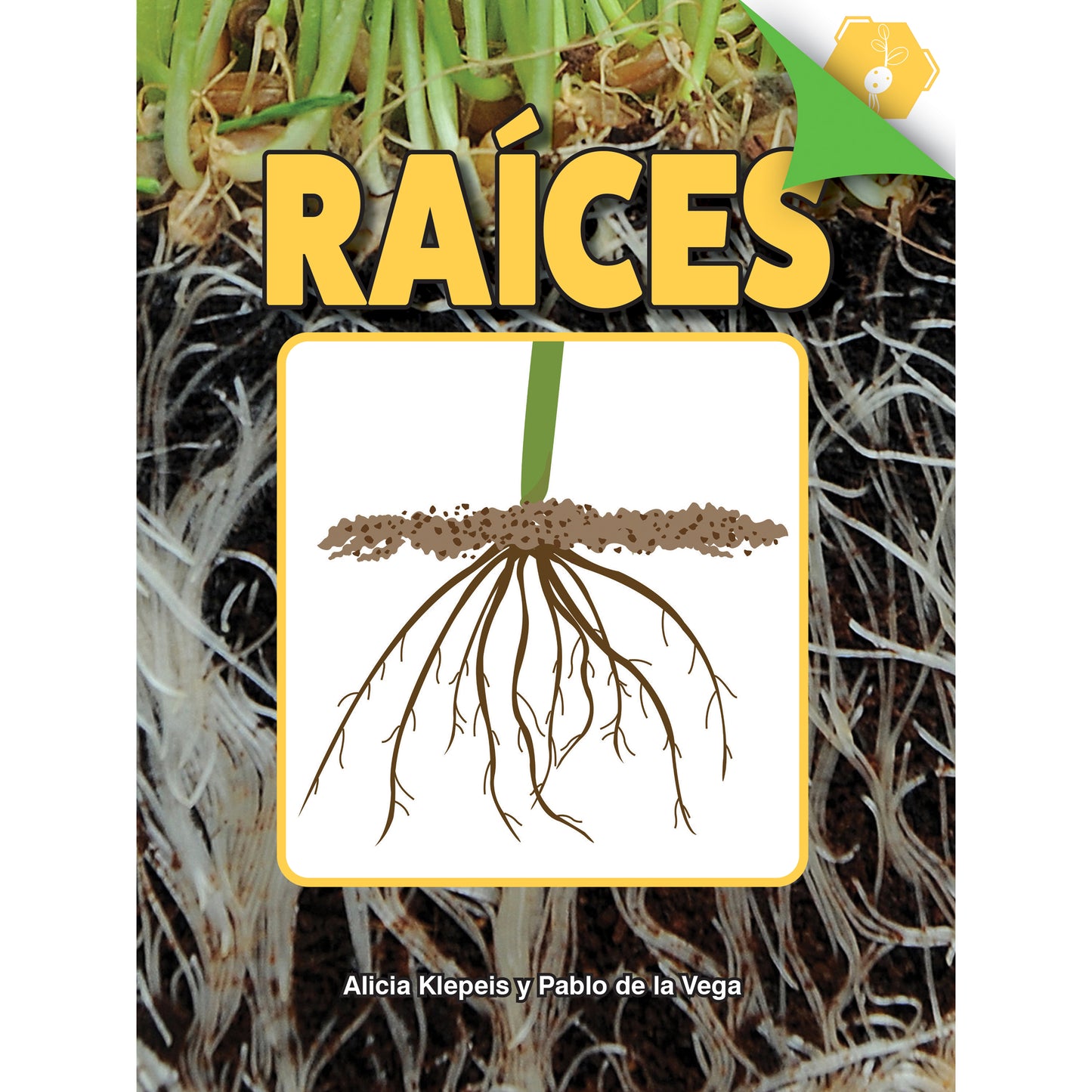 309641017.jpg