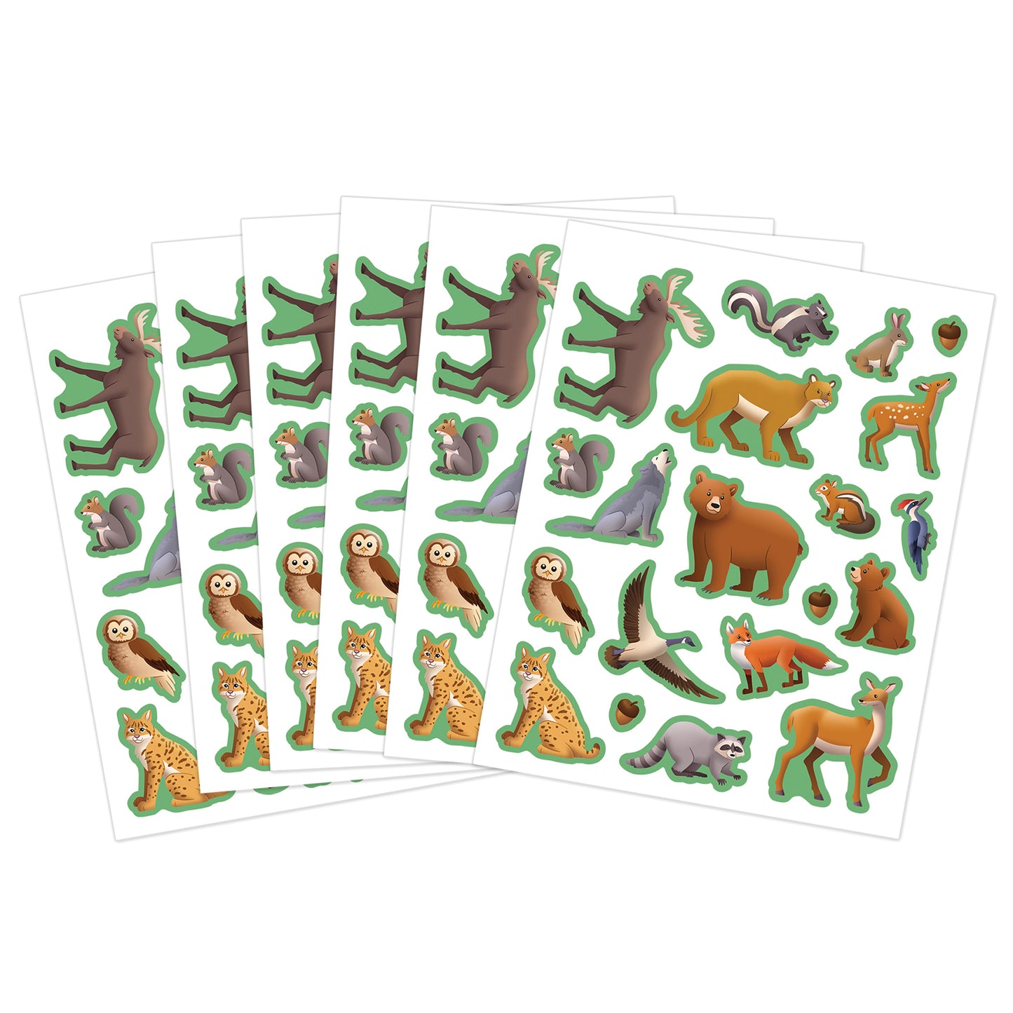 309641410.jpg