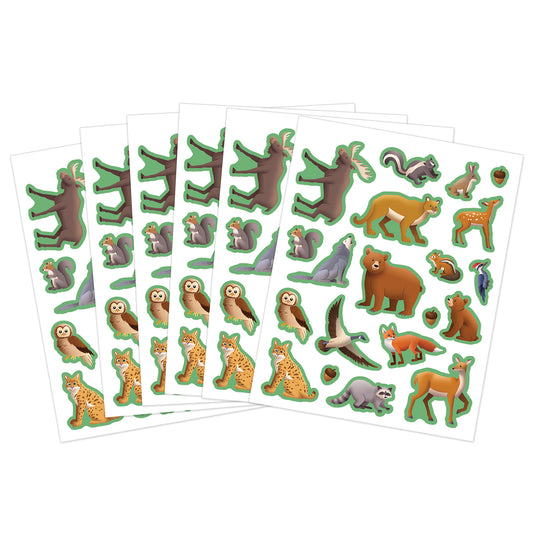 309641410.jpg