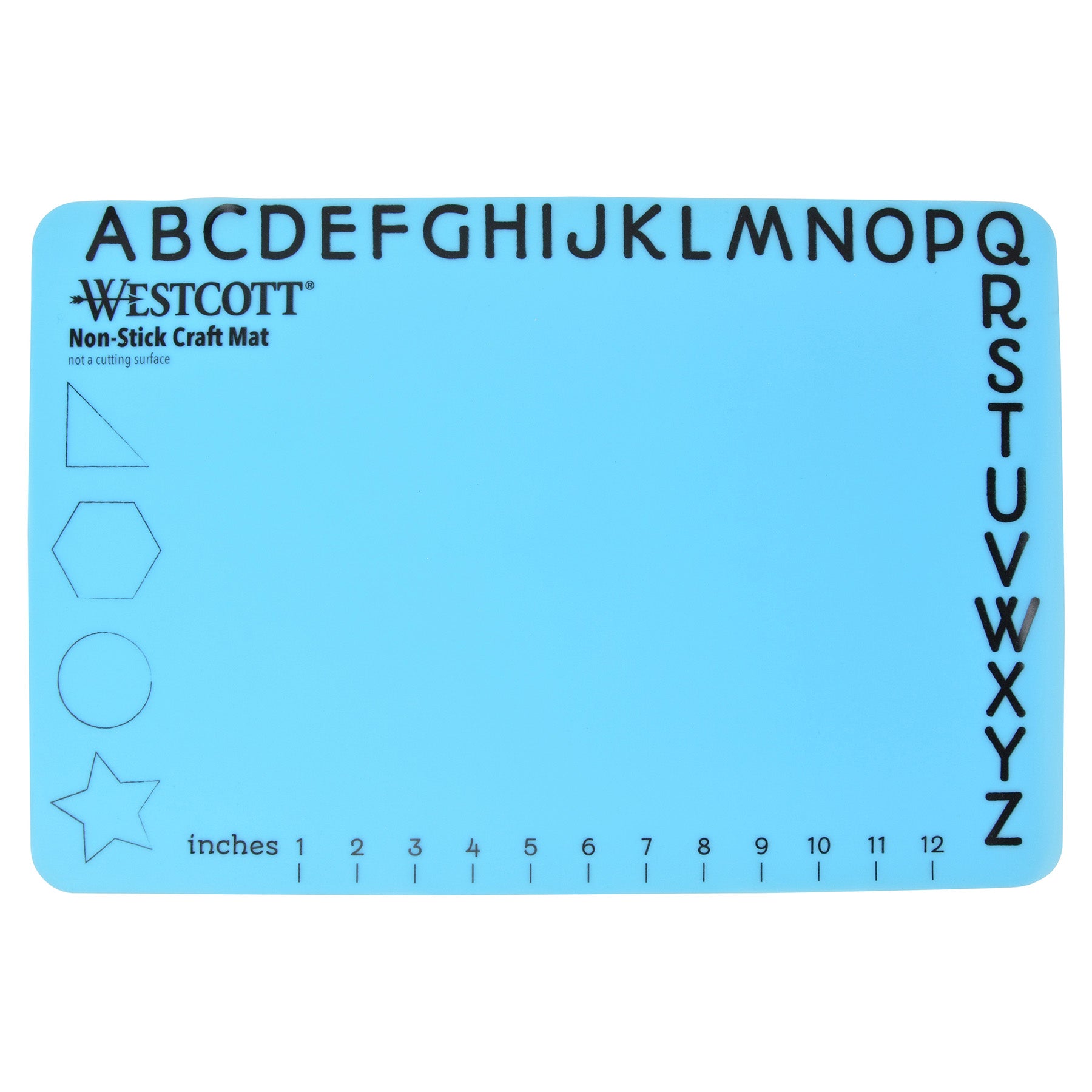 309642759.jpg
