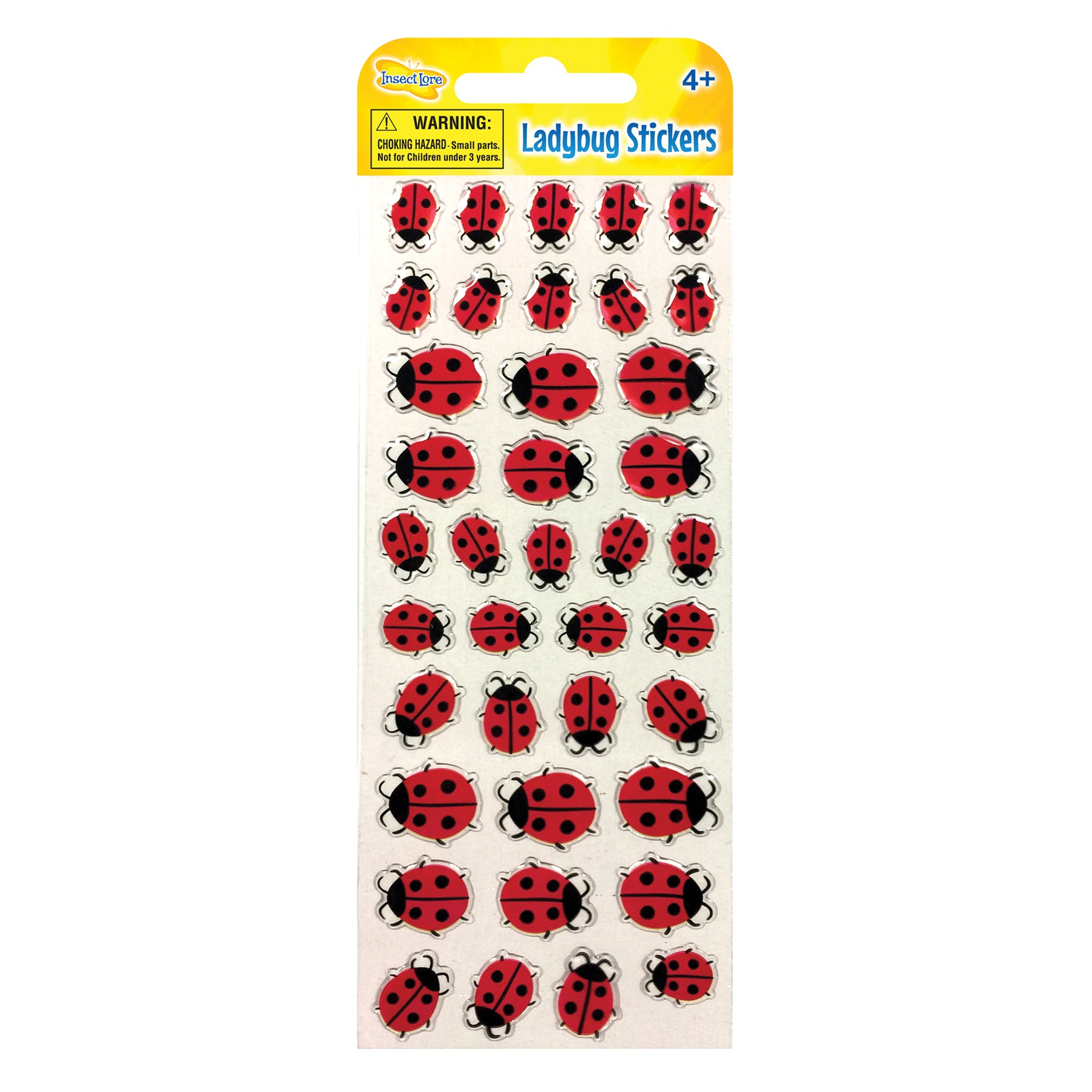 309643000.jpg