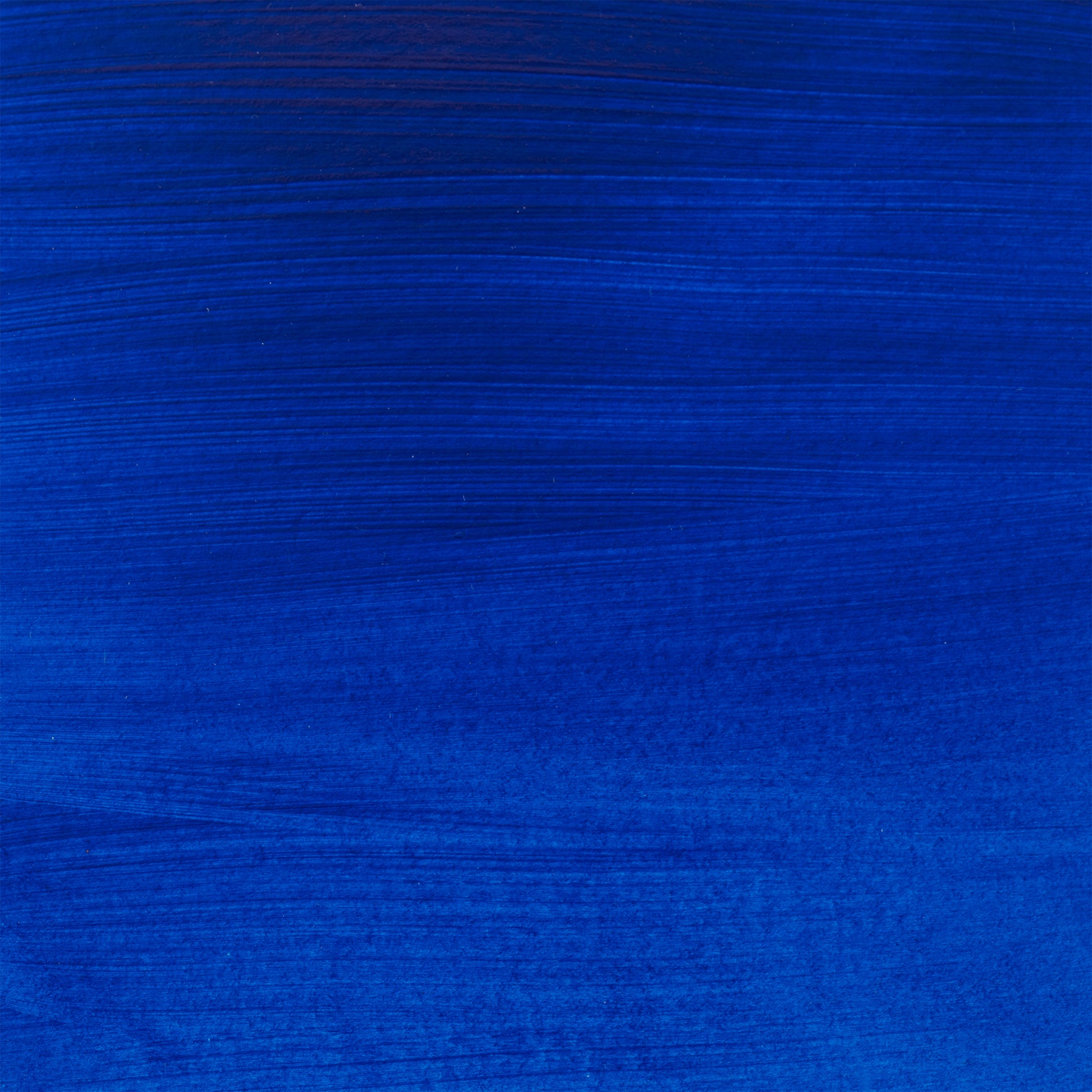 309643550.jpg