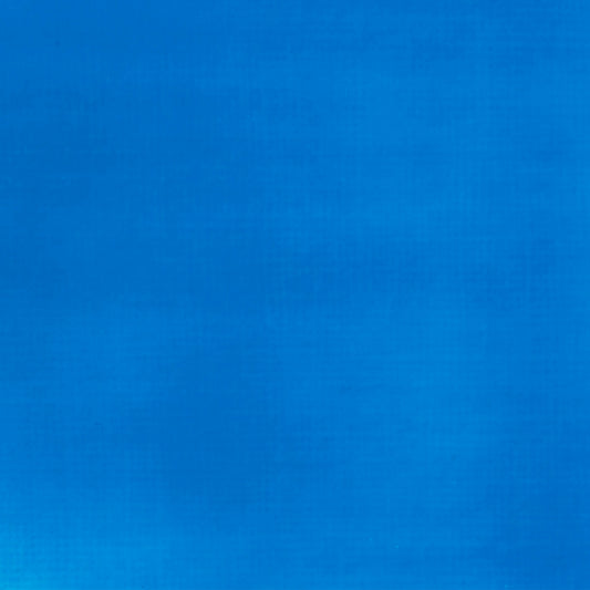 309643855.jpg