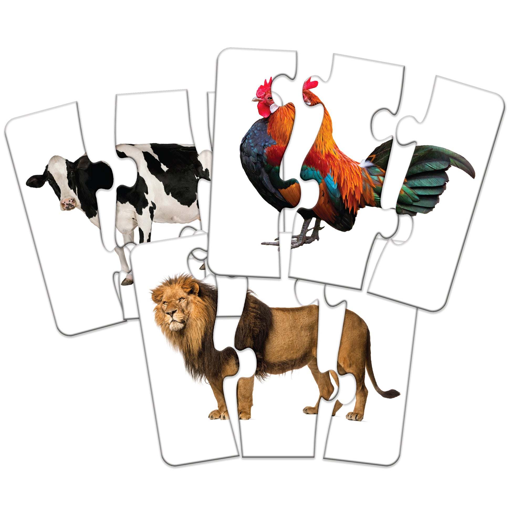 309643952.jpg
