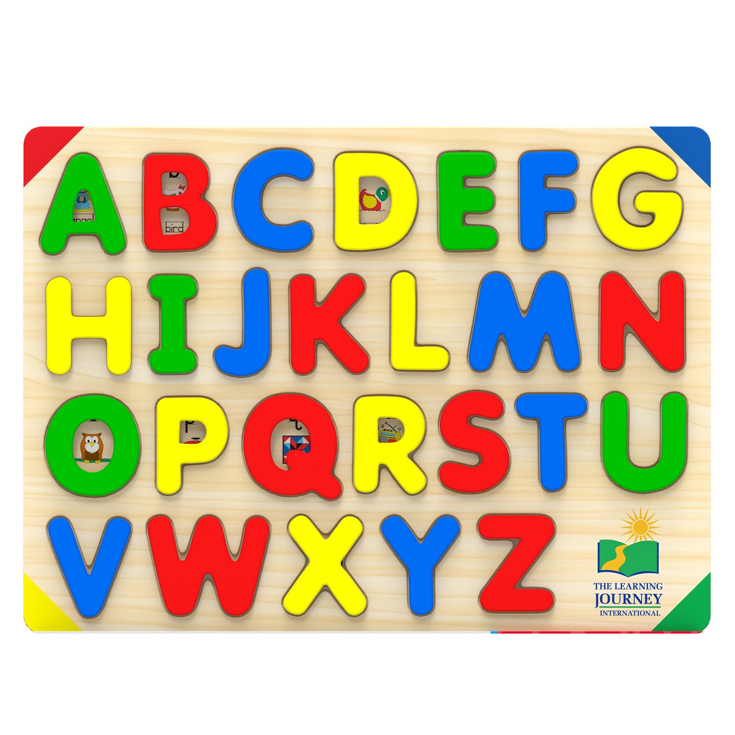 309644019.jpg