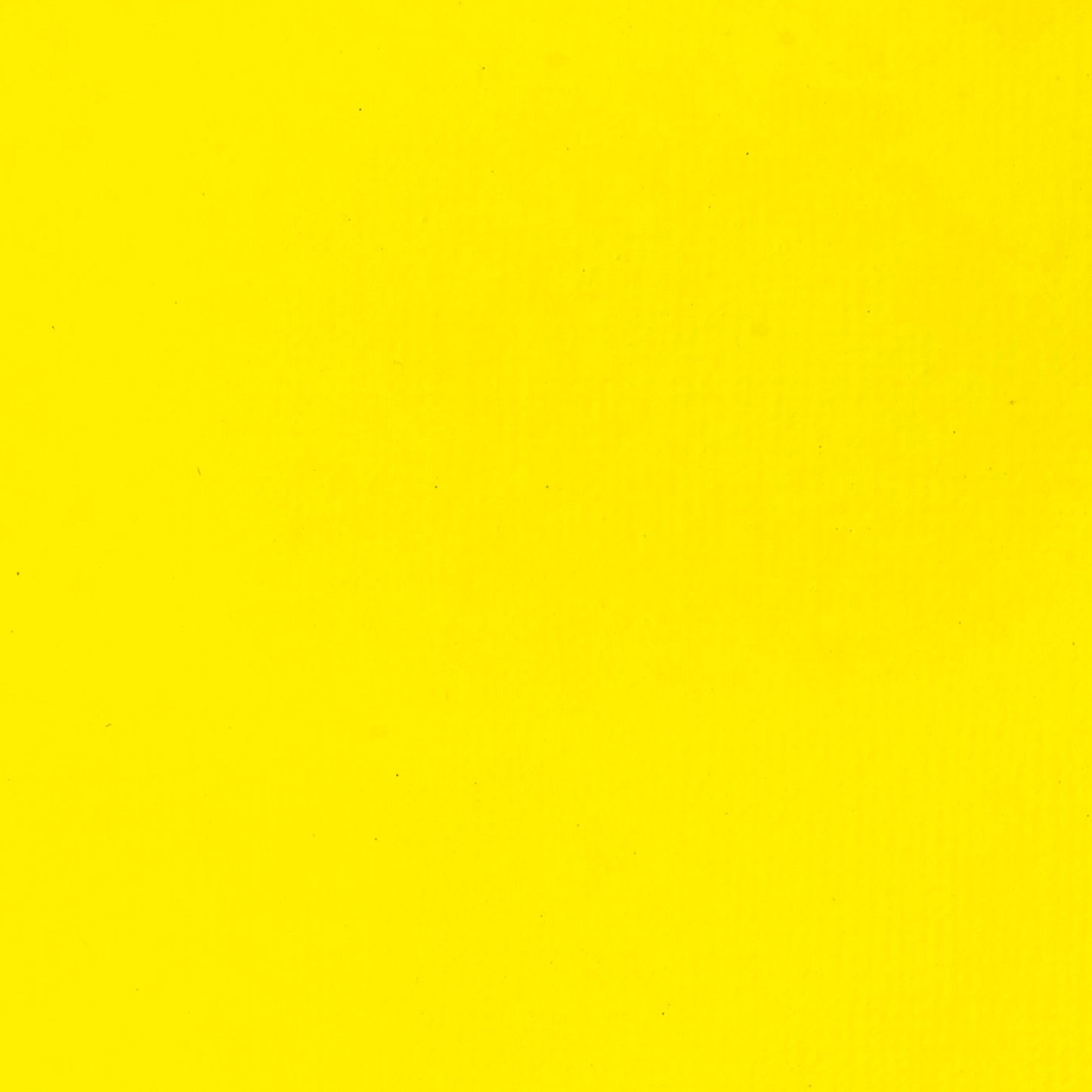 309644100.jpg