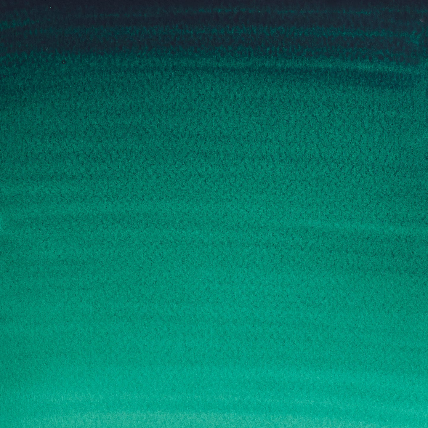 309644117.jpg