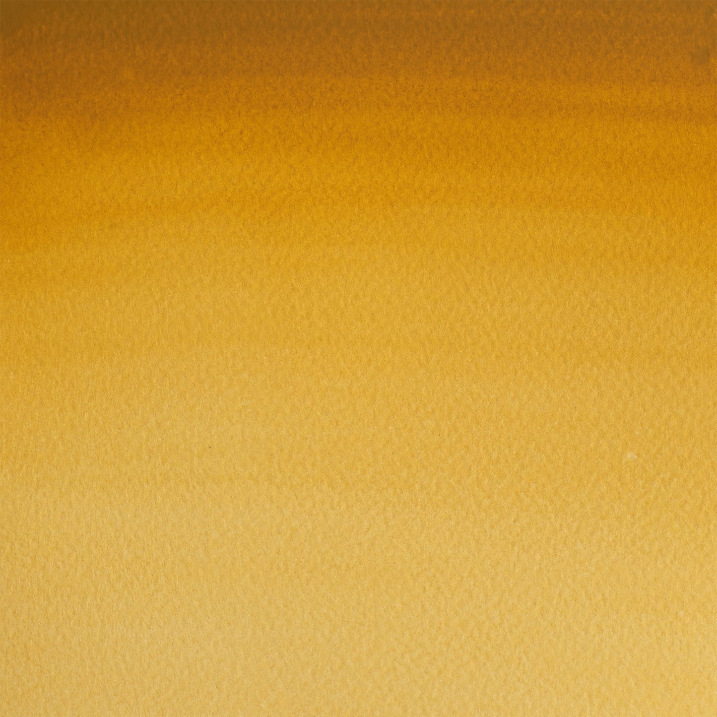 309644147.jpg