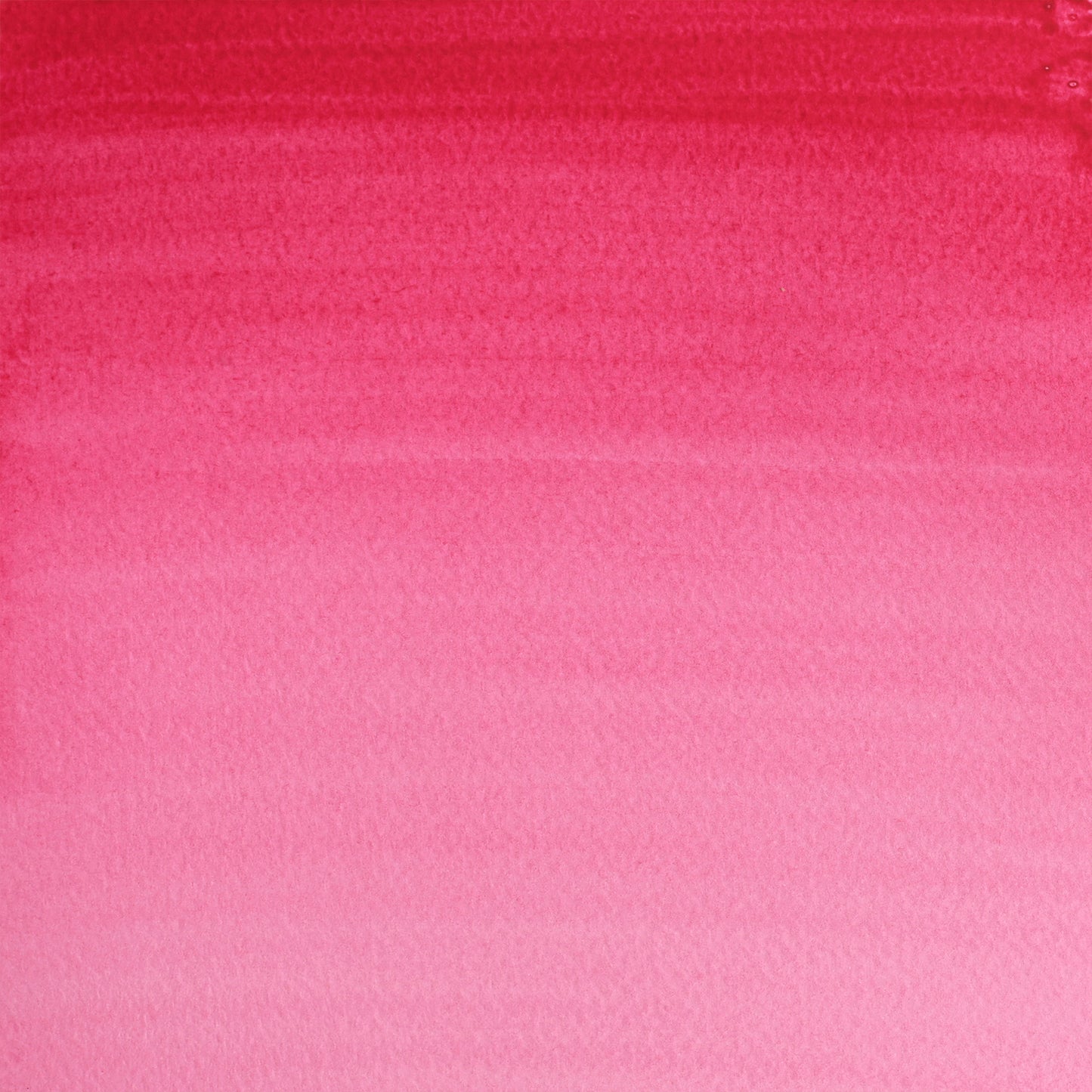 309644244.jpg