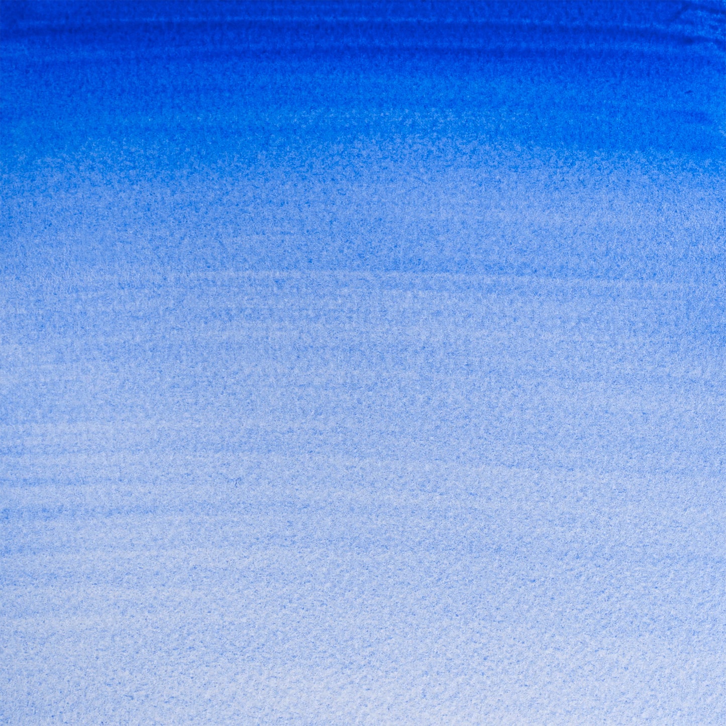 309644257.jpg