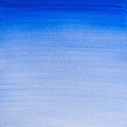 309644257.jpg