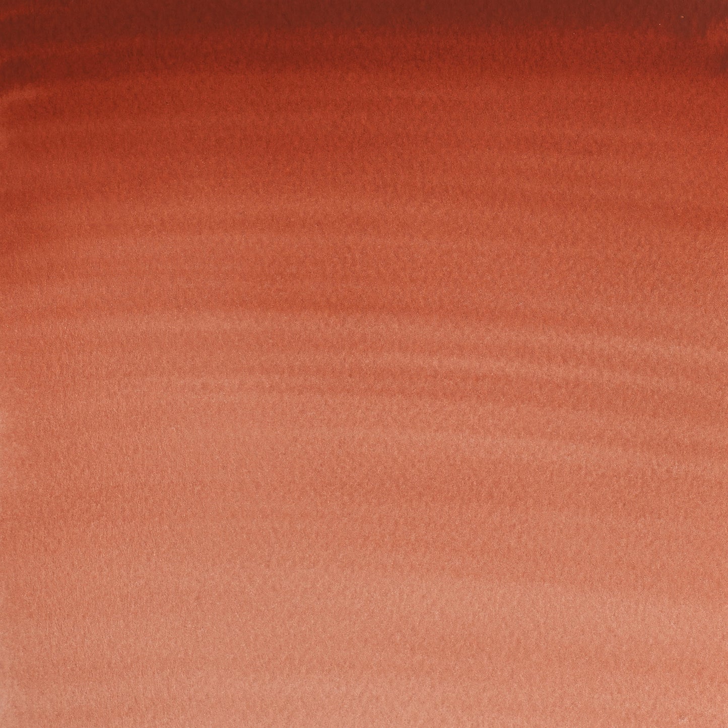 309644282.jpg