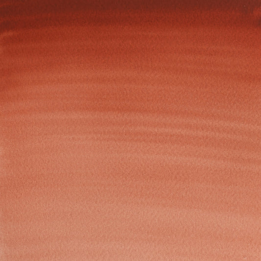 309644282.jpg