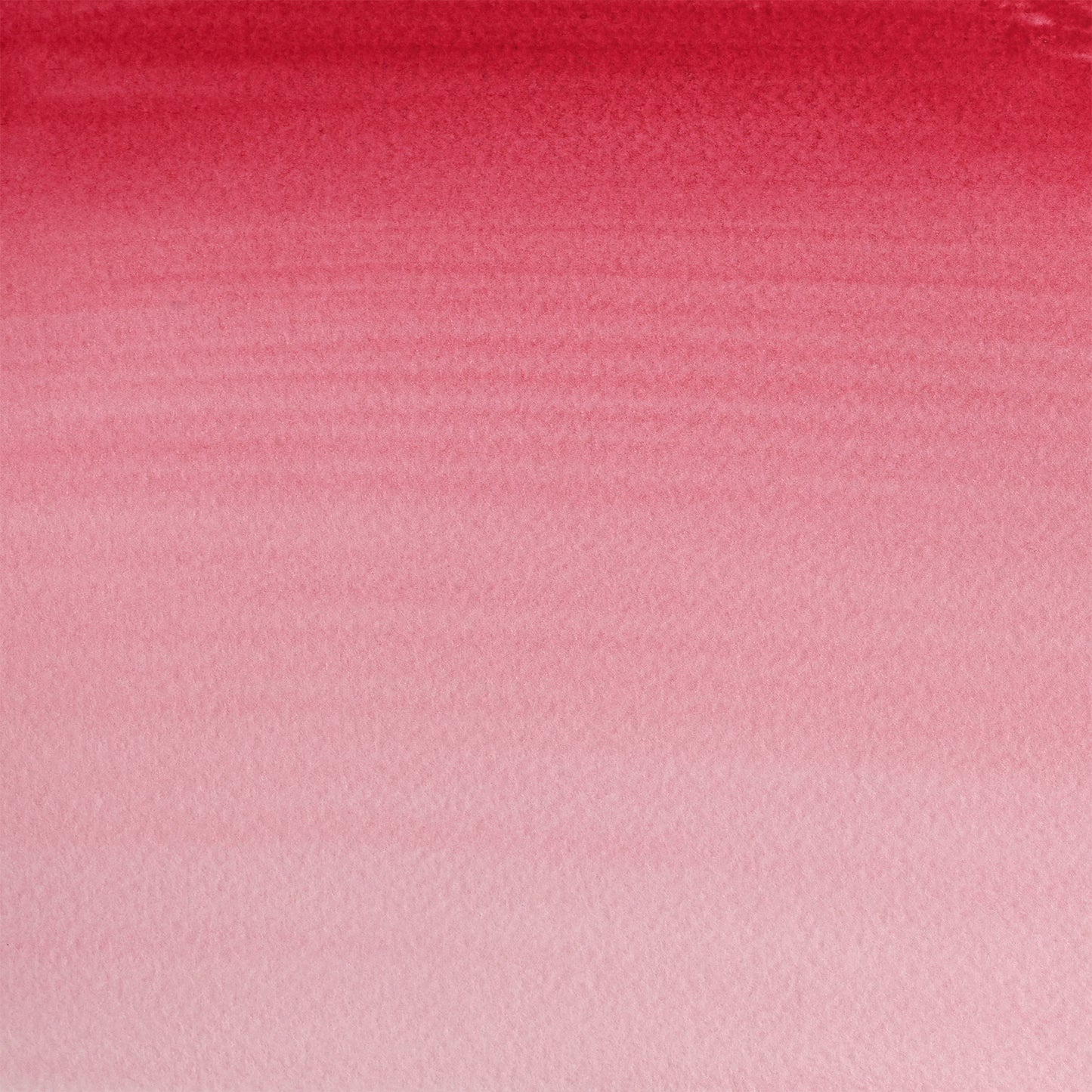 309644291.jpg