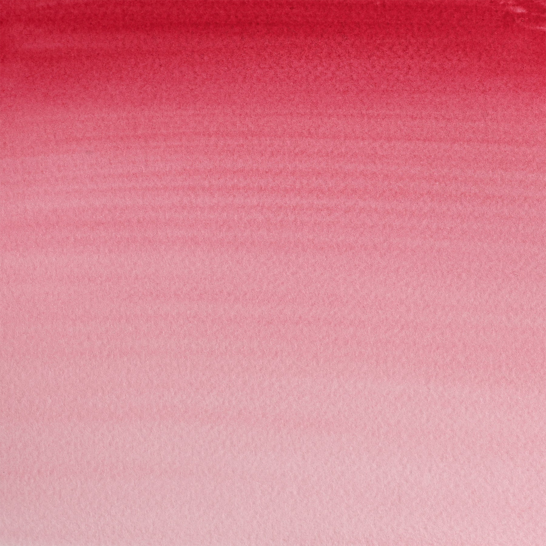 309644291.jpg