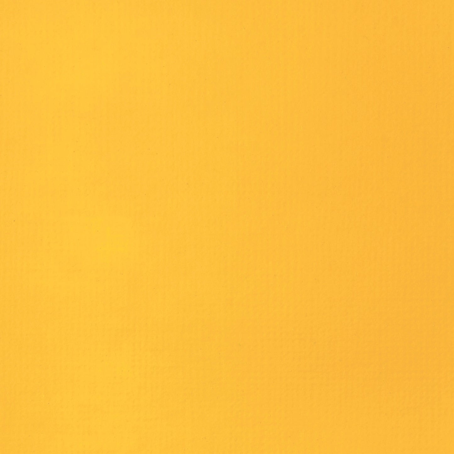 309644314.jpg