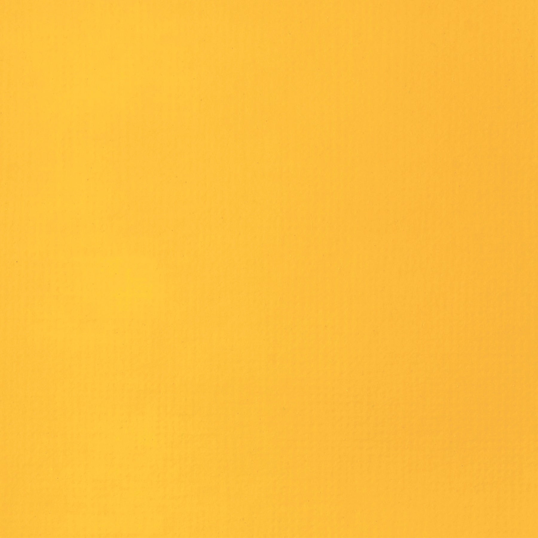 309644314.jpg