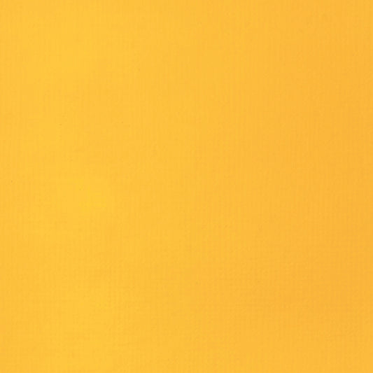309644314.jpg