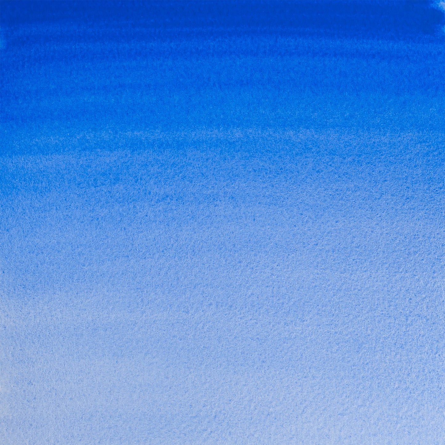 309644333.jpg