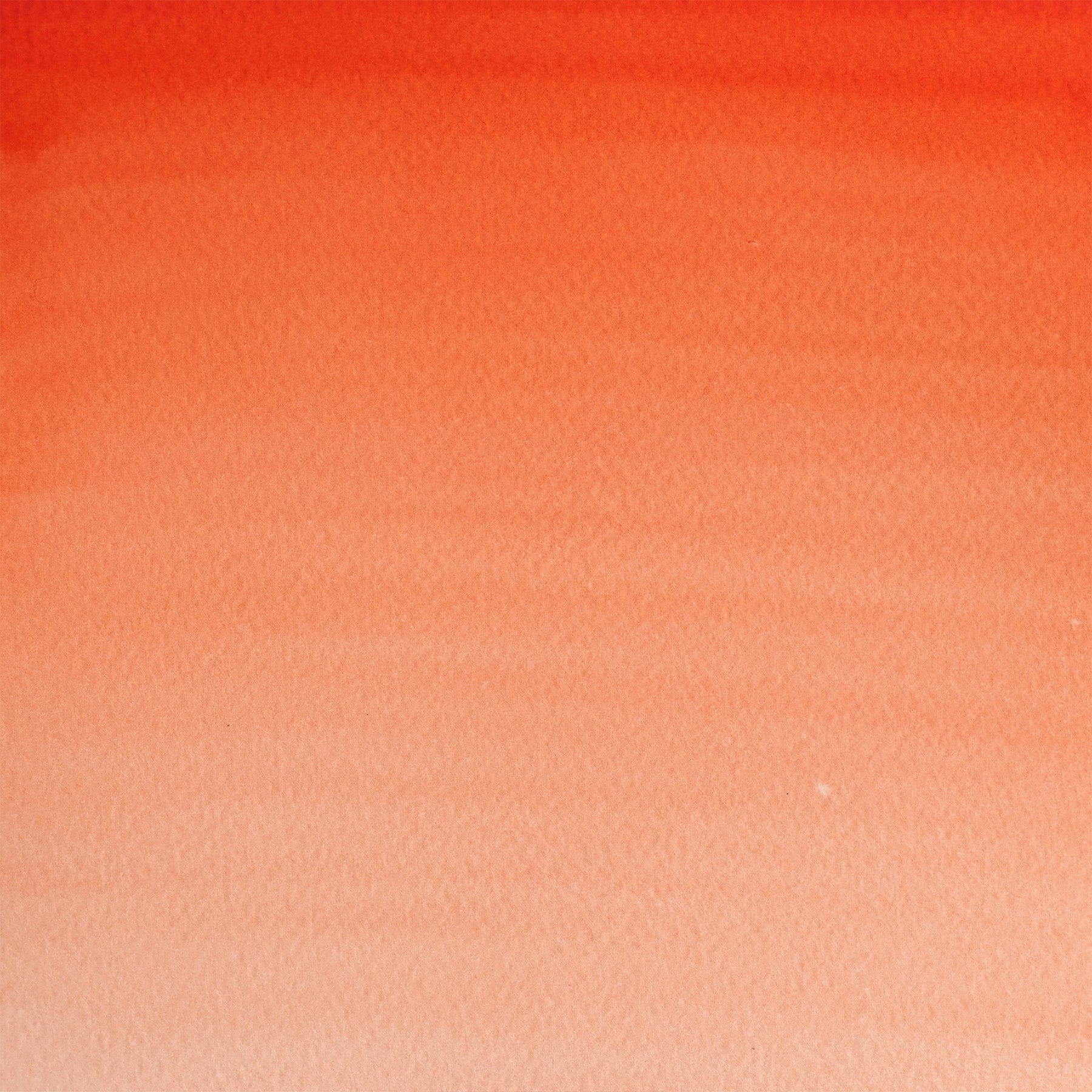 309644357.jpg