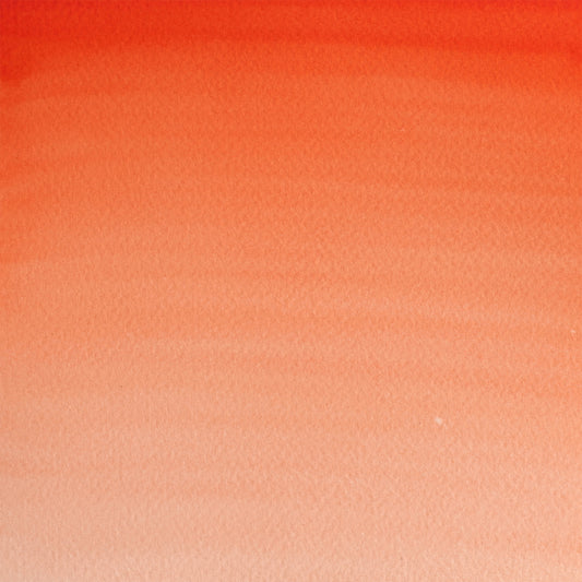 309644357.jpg