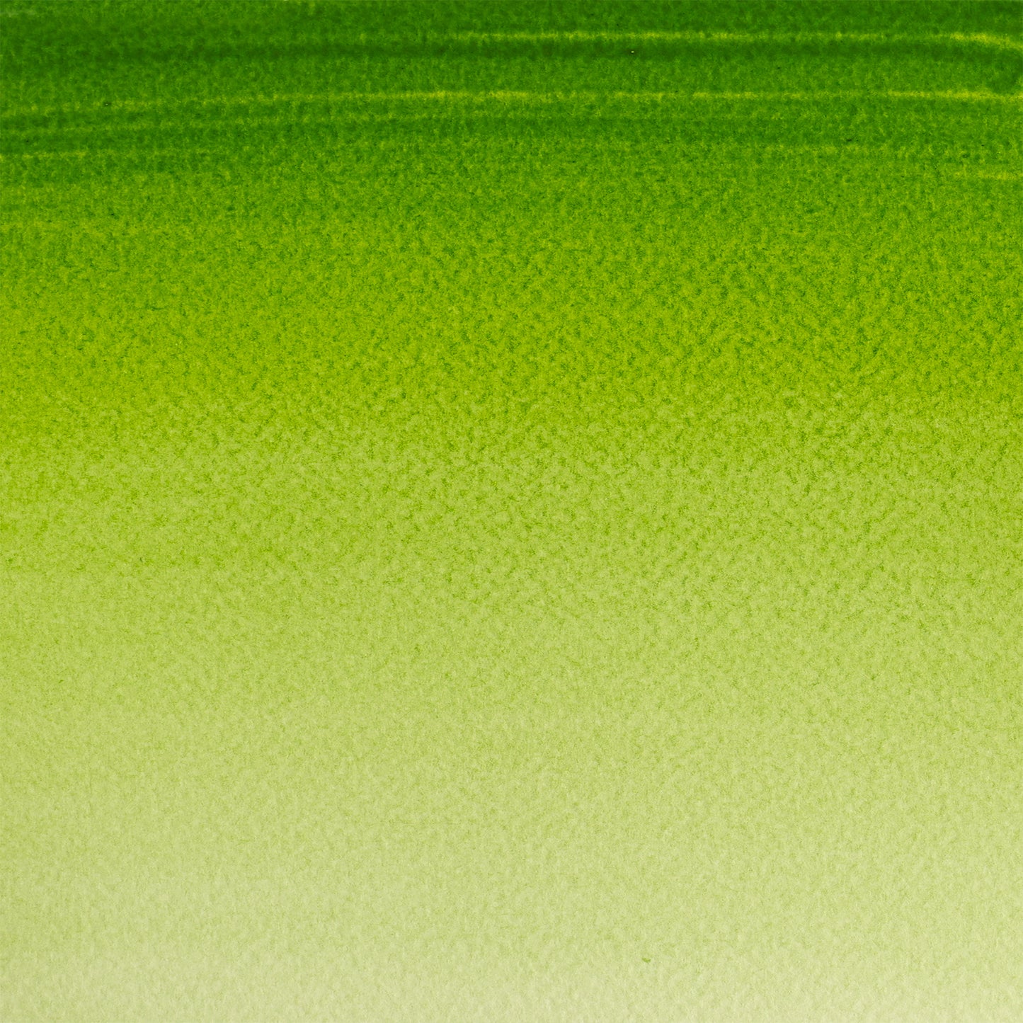 309644380.jpg