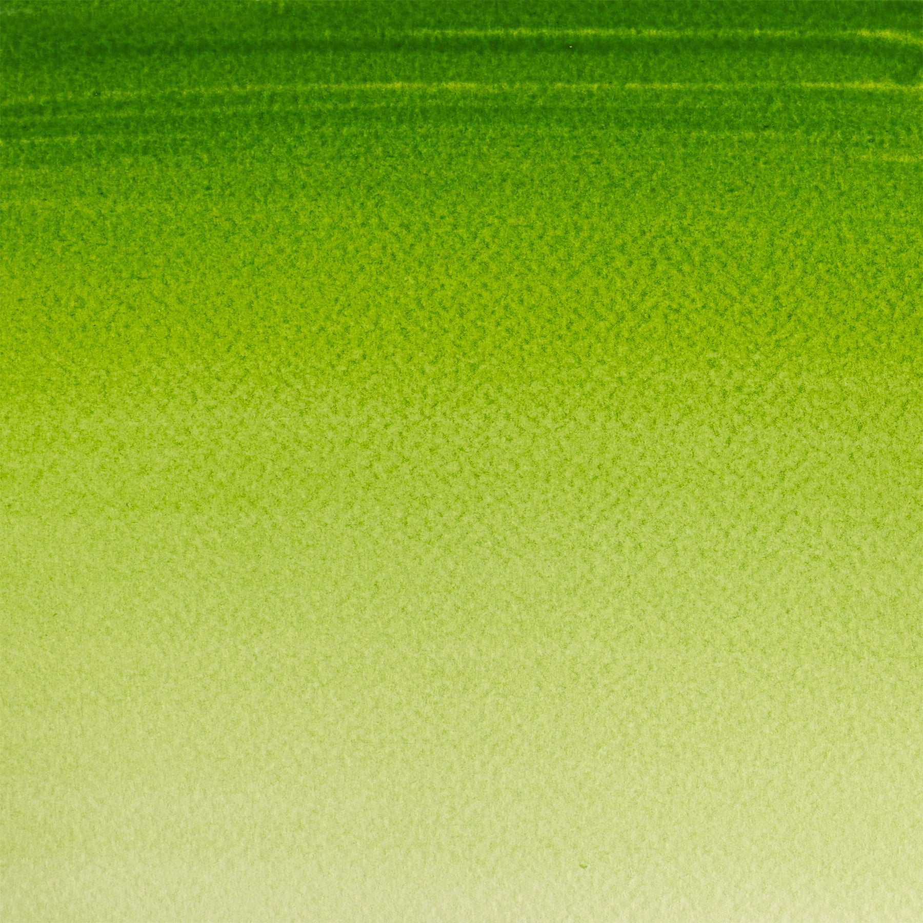 309644380.jpg