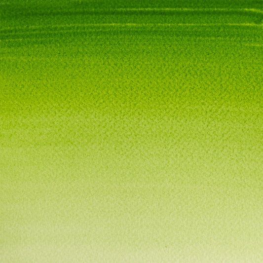 309644380.jpg