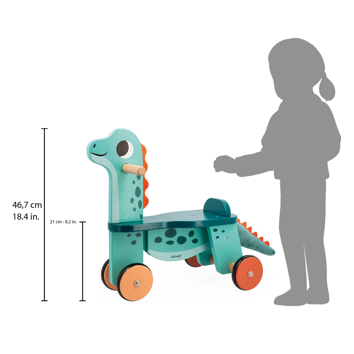 309645006.jpg