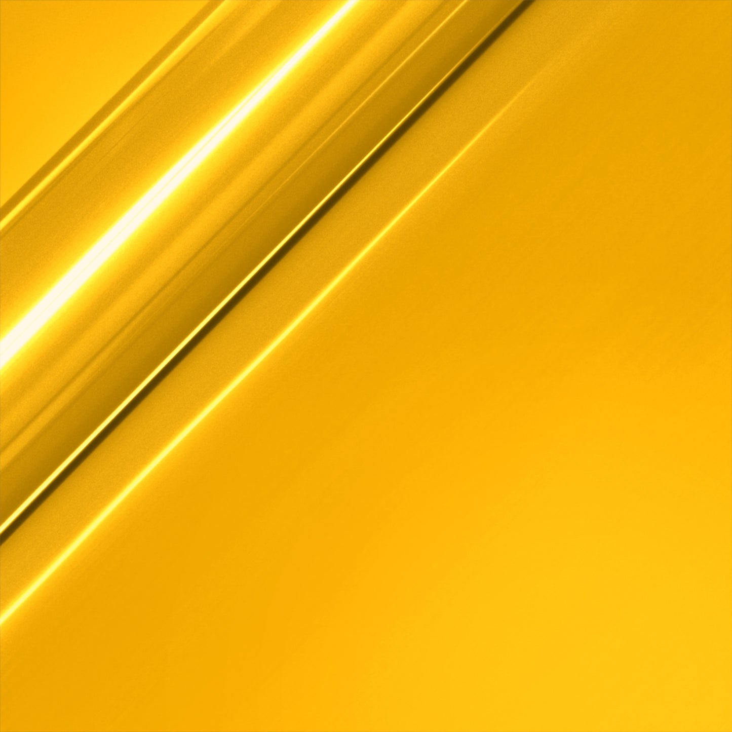 309646027.jpg