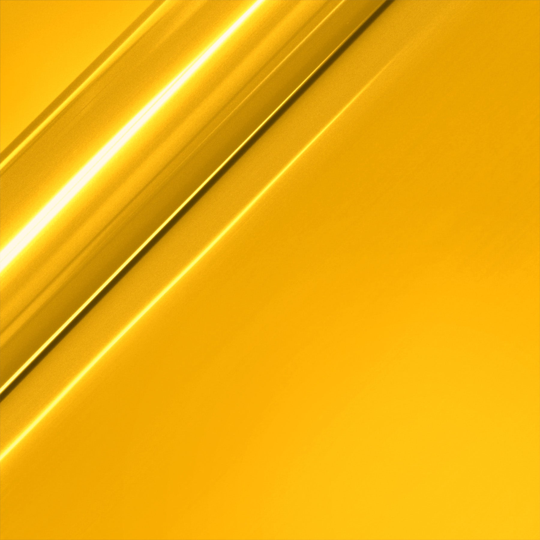 309646027.jpg
